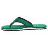 náhľad Tommy Hilfiger pánské plážové FM0FM05435 L4F Nouveau Green